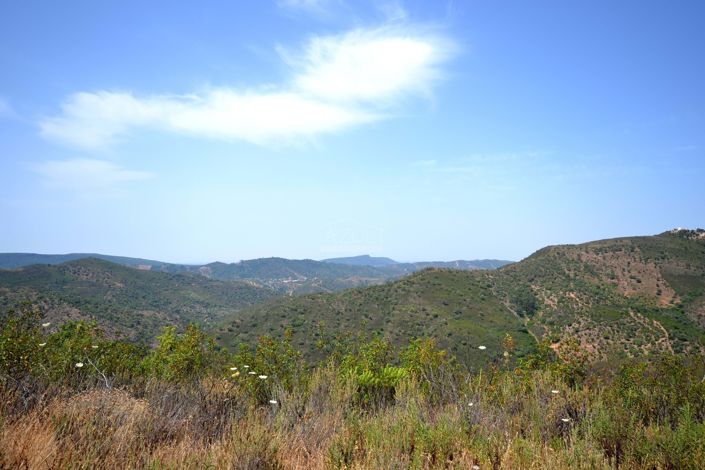 Image No.25-3 Bed Plot for sale