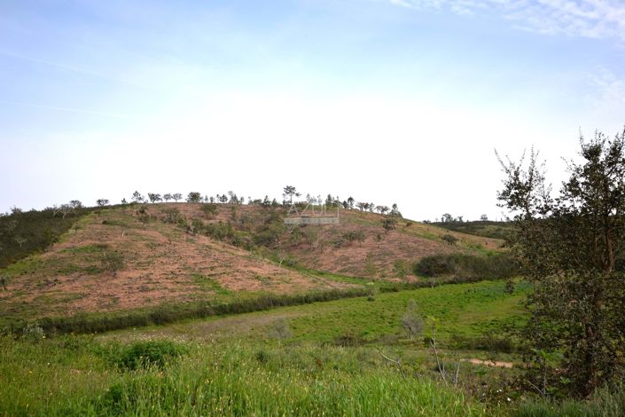 Image No.6-3 Bed Plot for sale