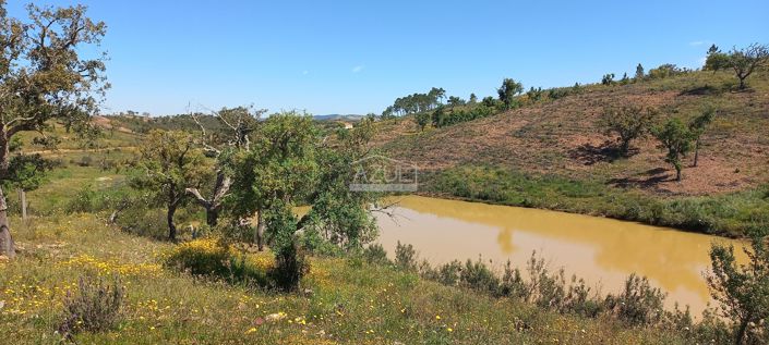 Image No.5-3 Bed Plot for sale