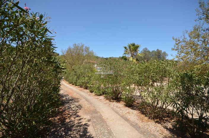 Image No.19-3 Bed Villa for sale