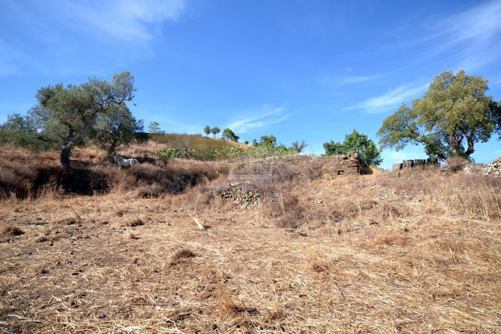 Image No.12-Terrain de 4 chambres à vendre à Loule
