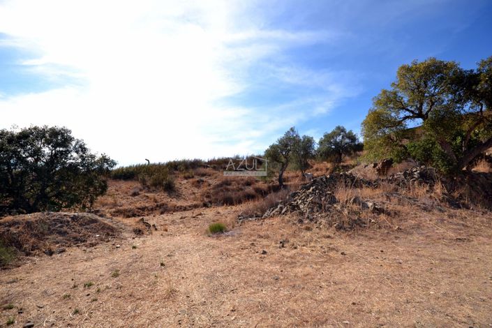 Image No.14-Terrain de 4 chambres à vendre à Loule