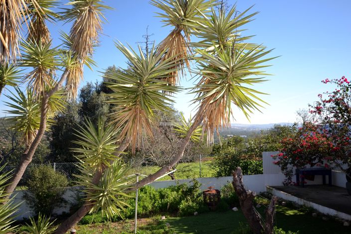 Image No.27-2 Bed Villa for sale