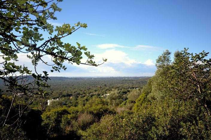 Image No.11-Terrain à vendre à Loule