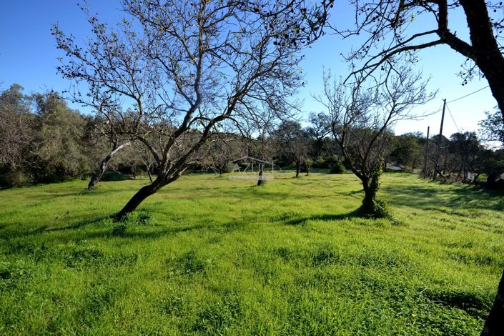 Image No.2-Terrain à vendre à Loule
