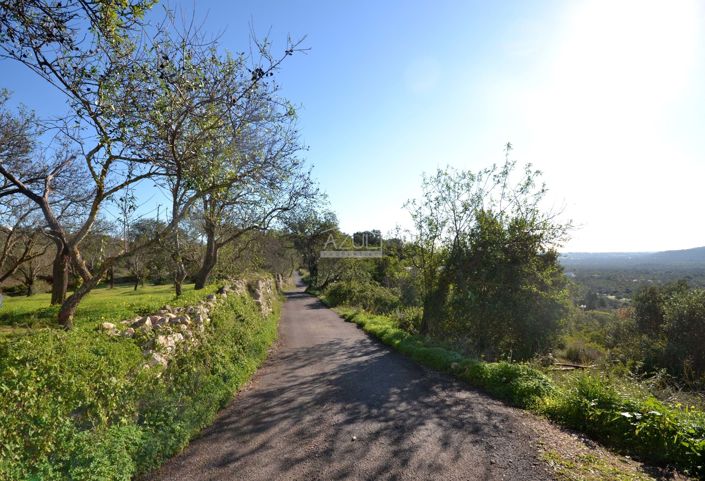 Image No.20-Terrain à vendre à Loule