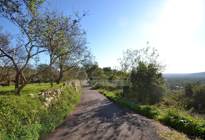 Image No.20-Plot for sale