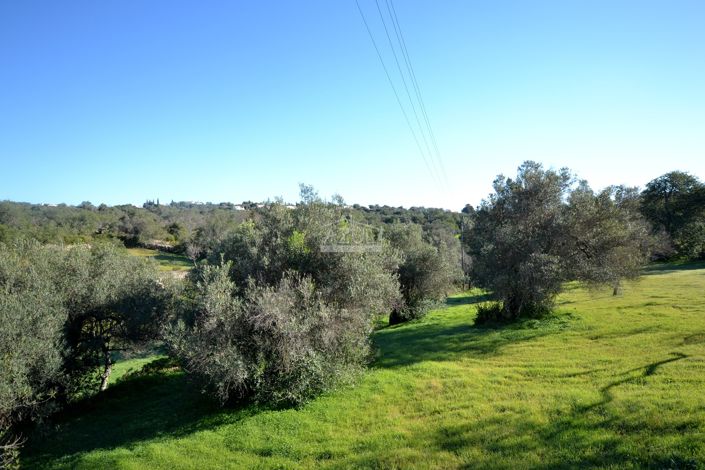 Image No.21-Terrain à vendre à Loule