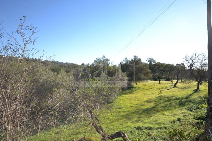 Image No.22-Plot for sale