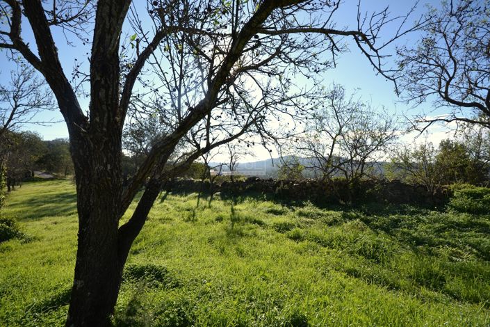 Image No.24-Terrain à vendre à Loule