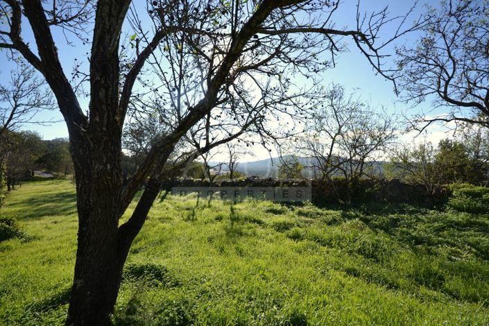 Image No.24-Plot for sale