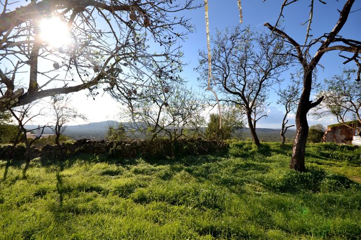 Image No.25-Terrain à vendre à Loule