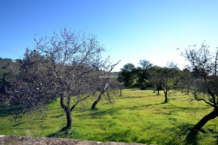 Image No.26-Terrain à vendre à Loule