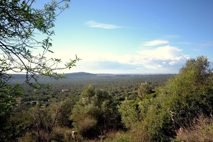 Image No.4-Terrain à vendre à Loule