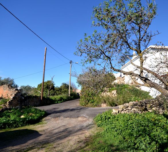 Image No.7-Terrain à vendre à Loule