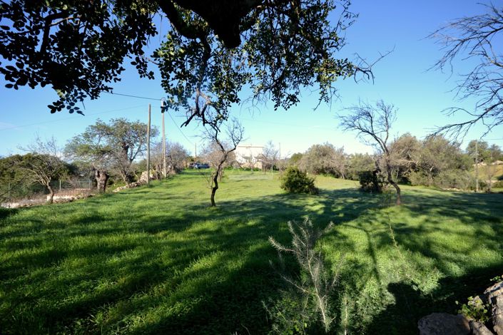 Image No.8-Terrain à vendre à Loule