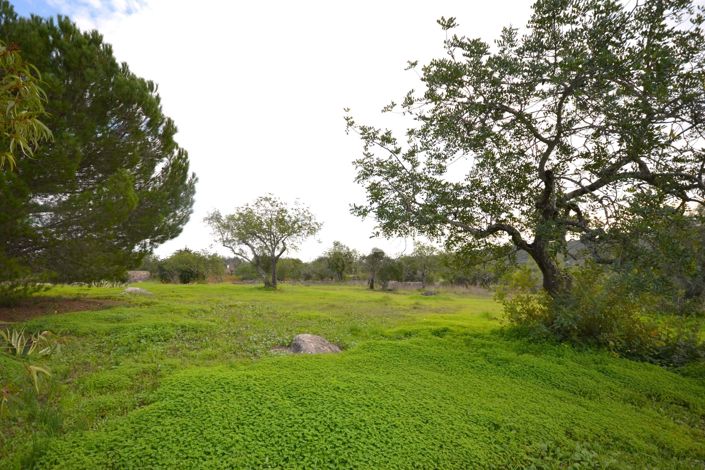 Image No.34-3 Bed Villa for sale