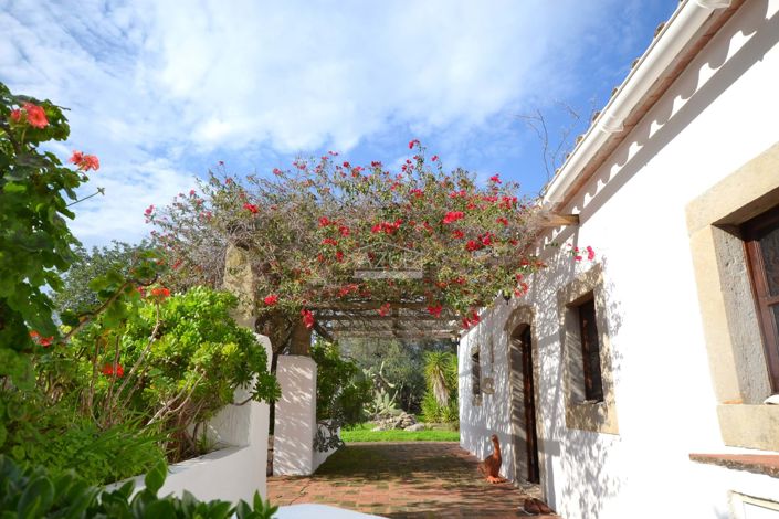 Image No.36-3 Bed Villa for sale