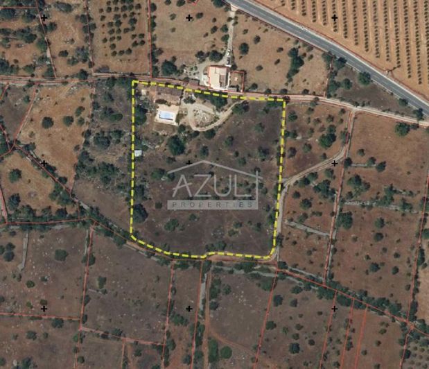 Image No.44-3 Bed Villa for sale