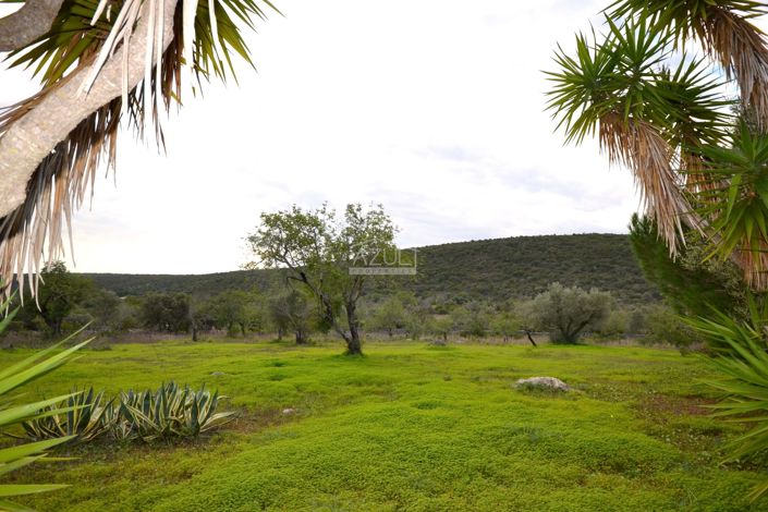 Image No.6-3 Bed Villa for sale