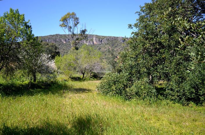 Image No.12-Plot for sale