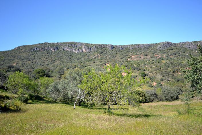 Image No.3-Plot for sale