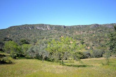 2425-342820-3f50b7e2732348c85afc9808d6ea52bbe