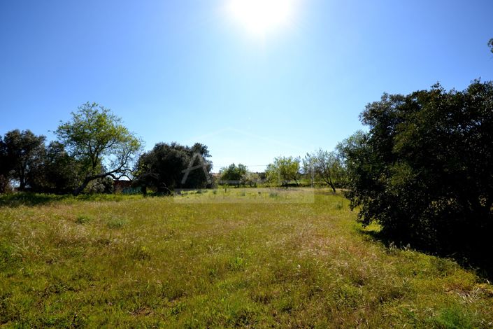 Image No.8-Plot for sale