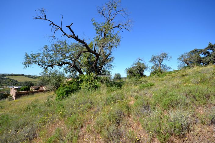 Image No.25-21 Bed Land for sale