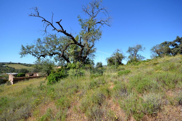 Image No.25-21 Bed Land for sale