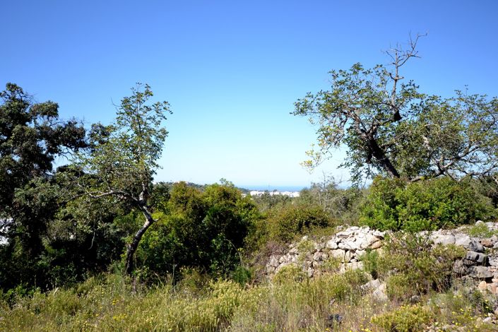 Image No.27-21 Bed Land for sale