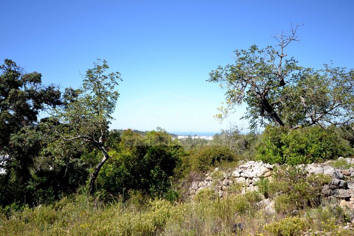 Image No.27-21 Bed Land for sale