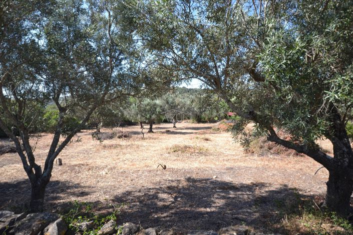 Image No.14-Land for sale