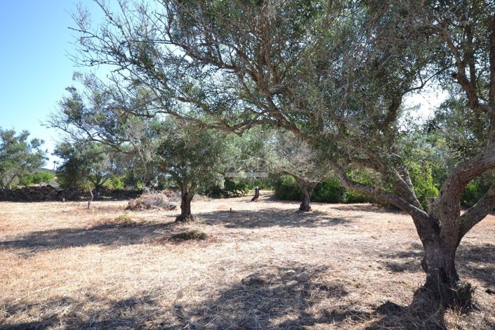 Image No.17-Land for sale