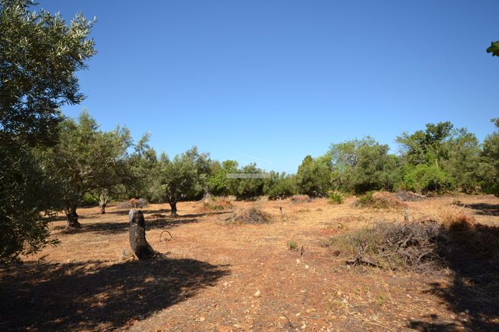 Image No.18-Land for sale