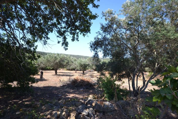 Image No.20-Land for sale