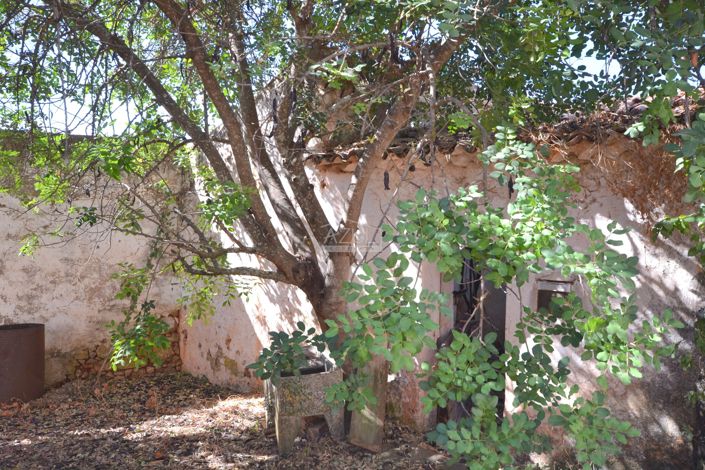 Image No.16-Plot for sale