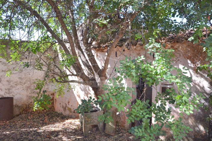 Image No.16-Plot for sale