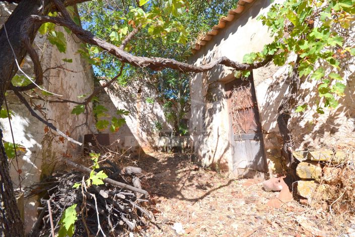 Image No.5-Plot for sale