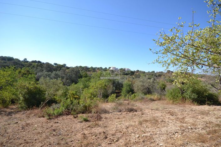 Image No.10-Land for sale