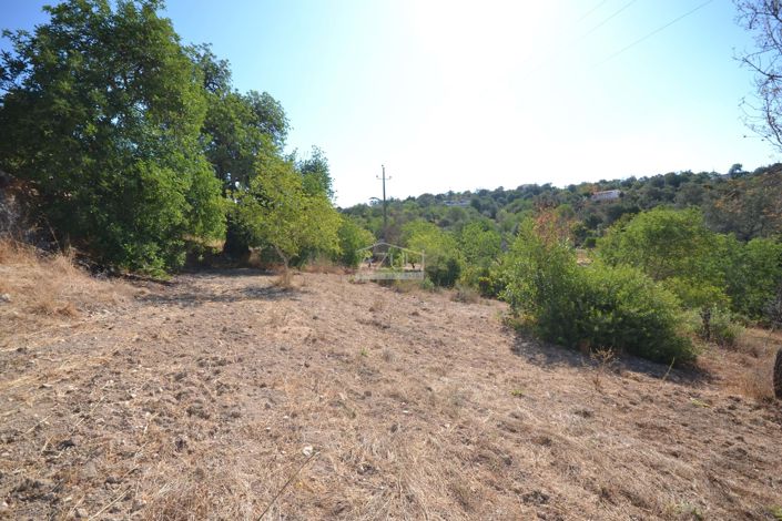 Image No.13-Land for sale