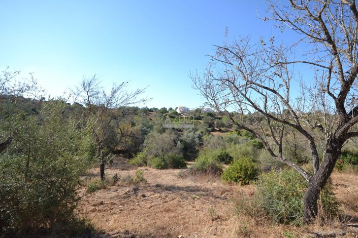 Image No.16-Land for sale