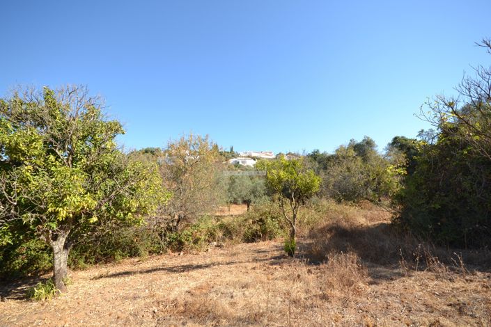 Image No.21-Land for sale