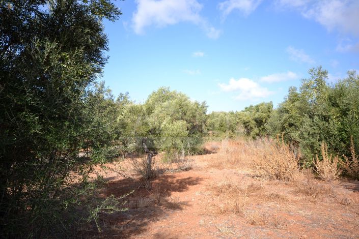 Image No.10-Plot for sale