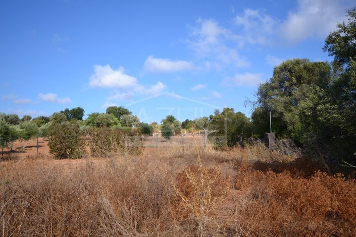 Image No.11-Plot for sale