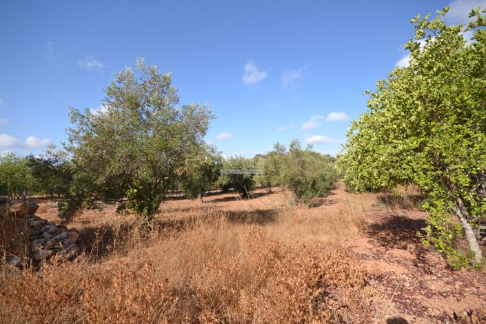 Image No.14-Plot for sale