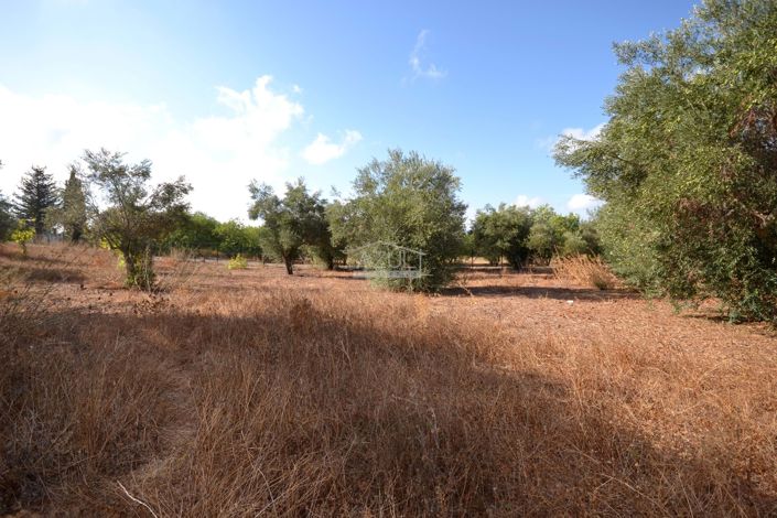 Image No.15-Plot for sale