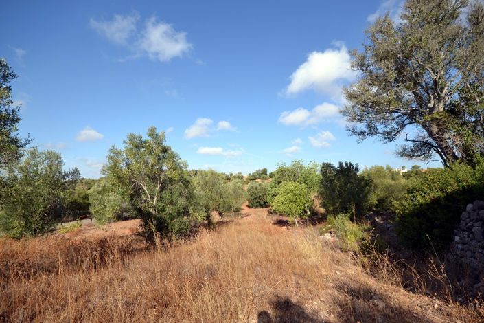 Image No.17-Plot for sale