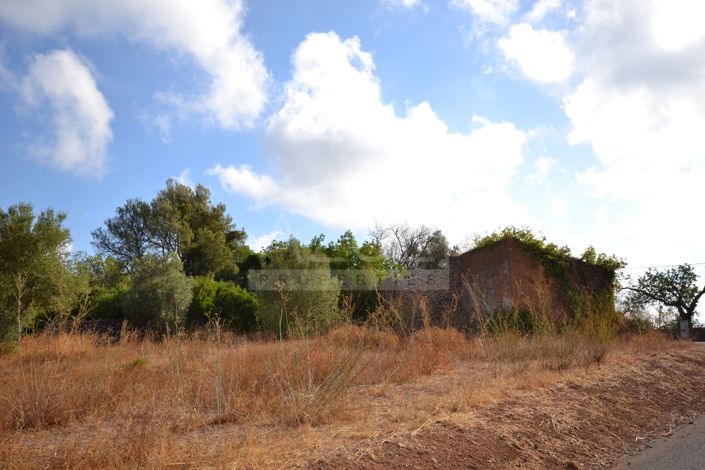Image No.2-Plot for sale
