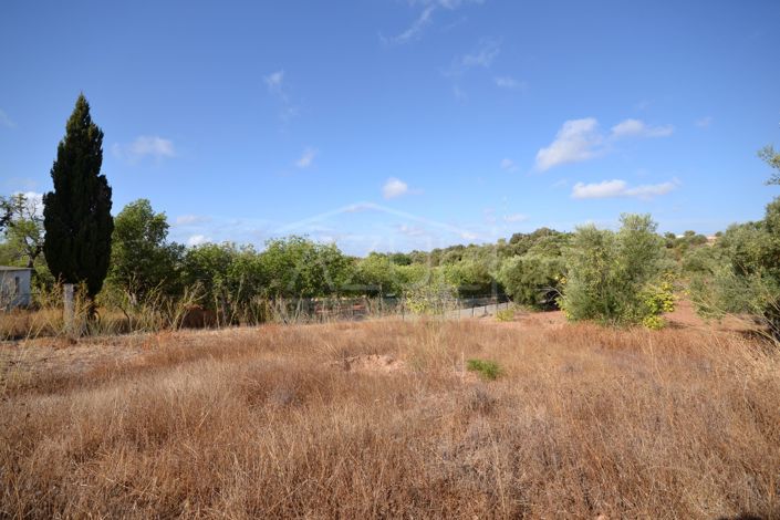 Image No.4-Plot for sale